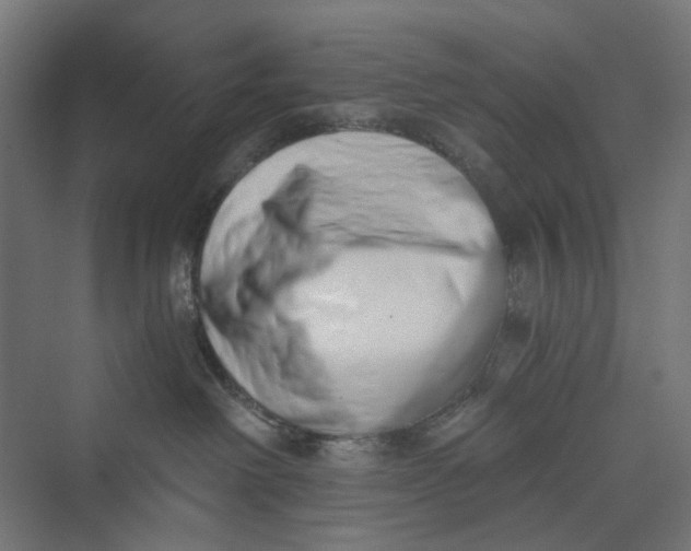 X0000069800238200606021447