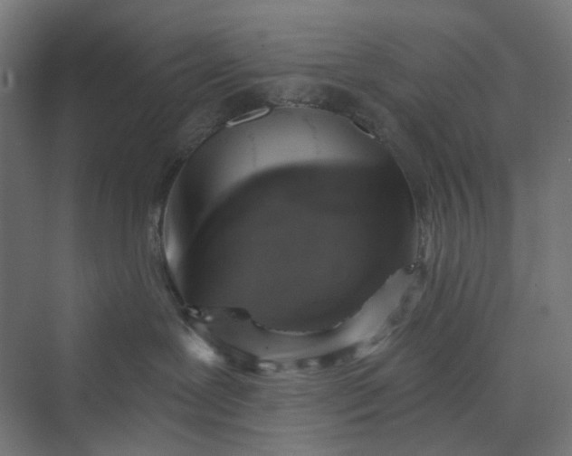 X0000069800239200606021447