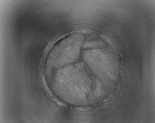 X0000069800241200606021446