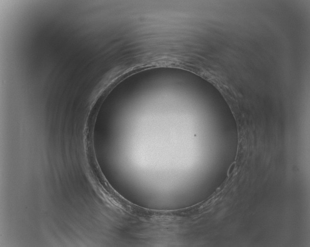 X0000069800242200606021446