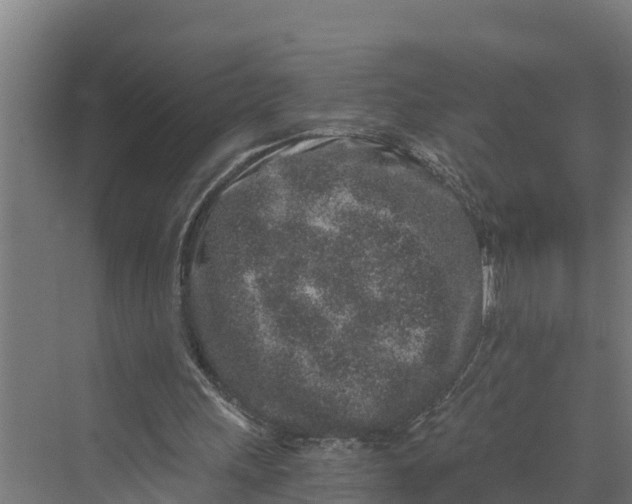 X0000069800243200606021446