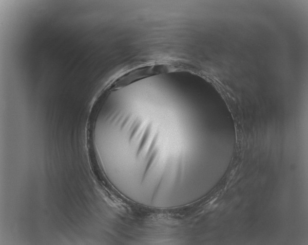 X0000069800244200606021446