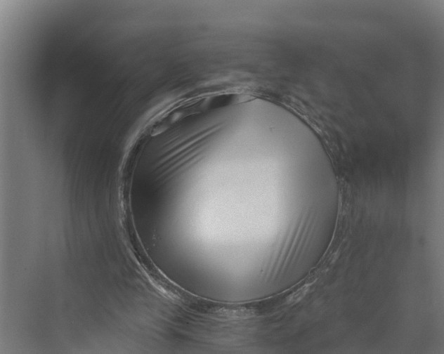 X0000069800245200606021446