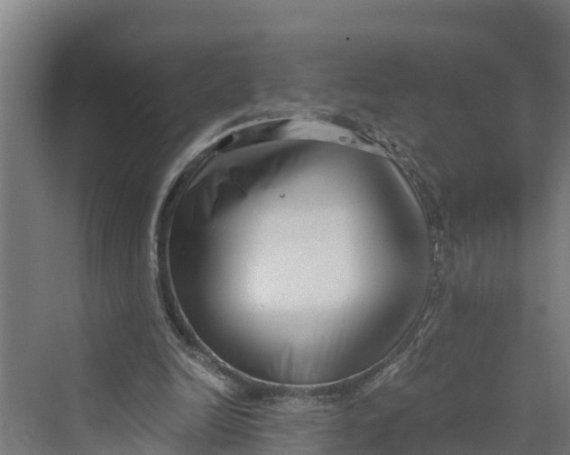 X0000069800246200606021446