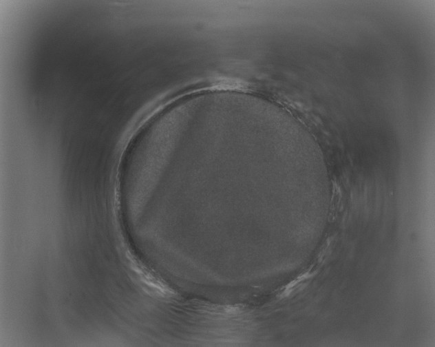 X0000069800247200606021446