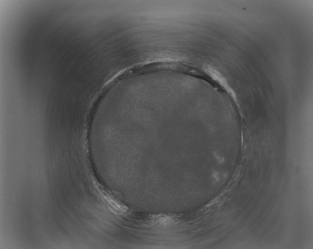 X0000069800249200606021446