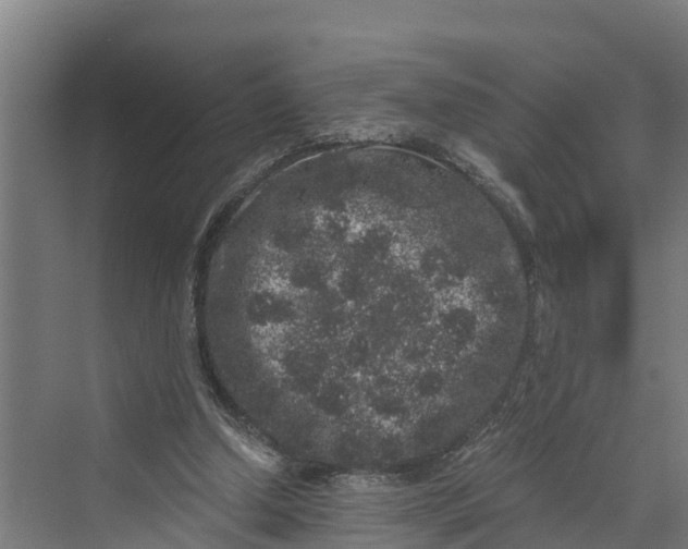 X0000069800250200606021446