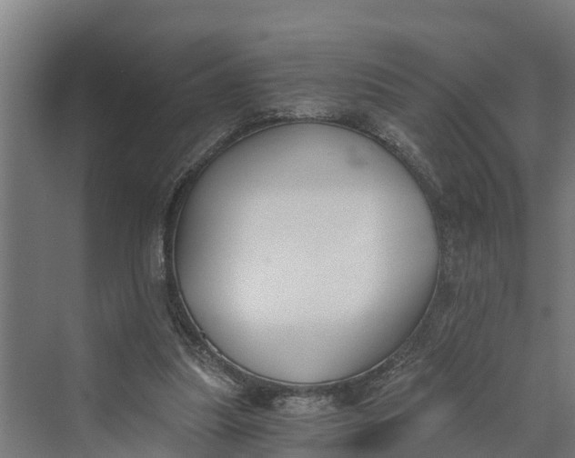 X0000069800251200606021446