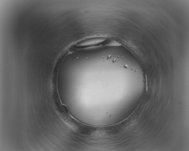 X0000069800252200606021447