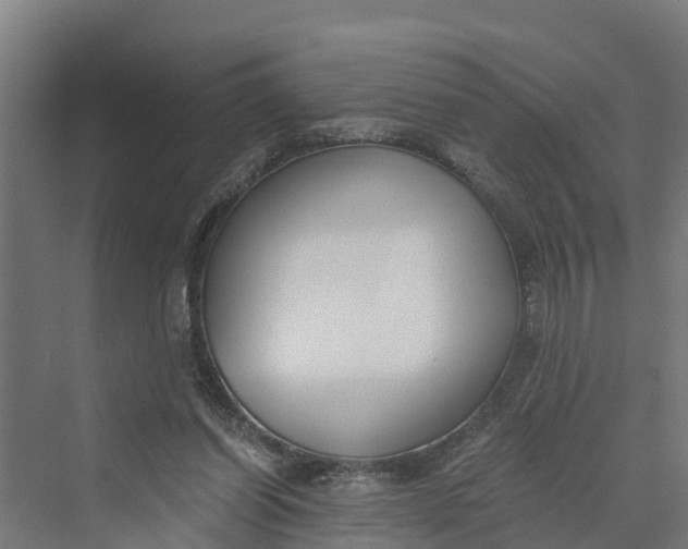 X0000069800254200606021447