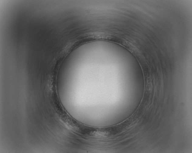 X0000069800255200606021447