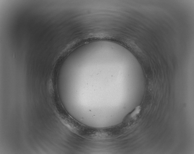 X0000069800256200606021447