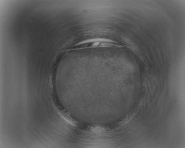 X0000069800258200606021447