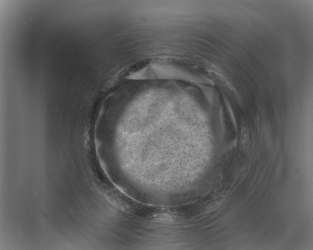 X0000069800259200606021447