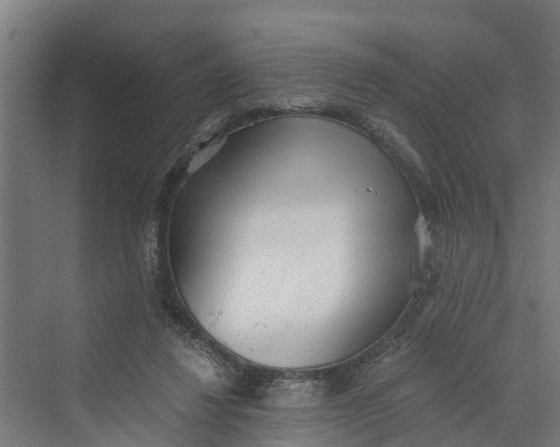 X0000069800260200606021447