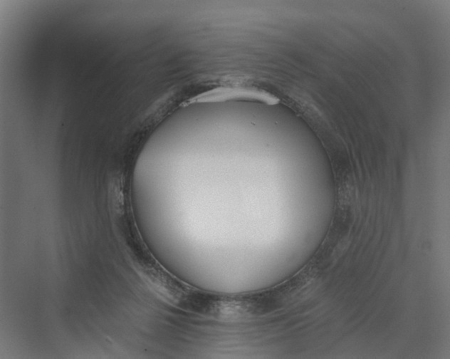 X0000069800264200606021447