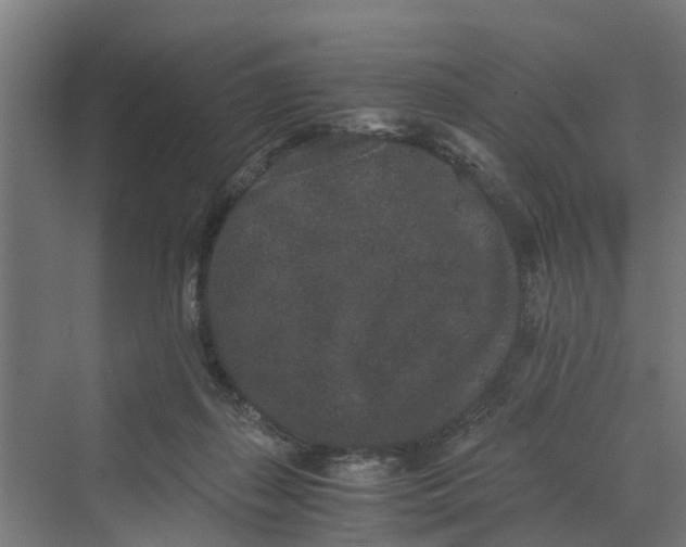 X0000069800267200606021447