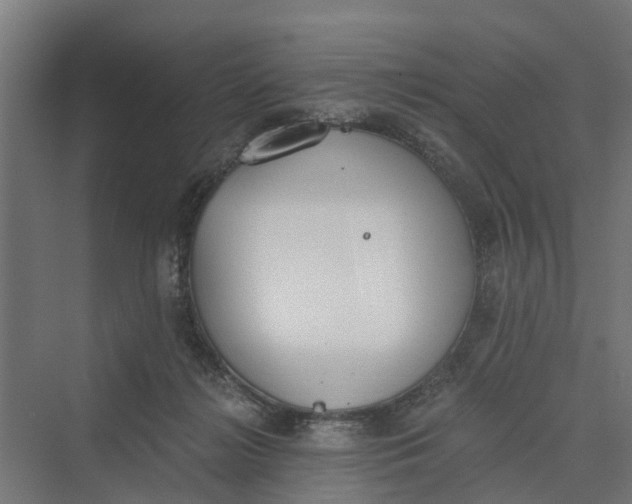 X0000069800268200606021447