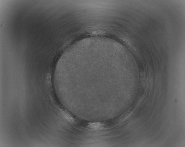 X0000069800269200606021447