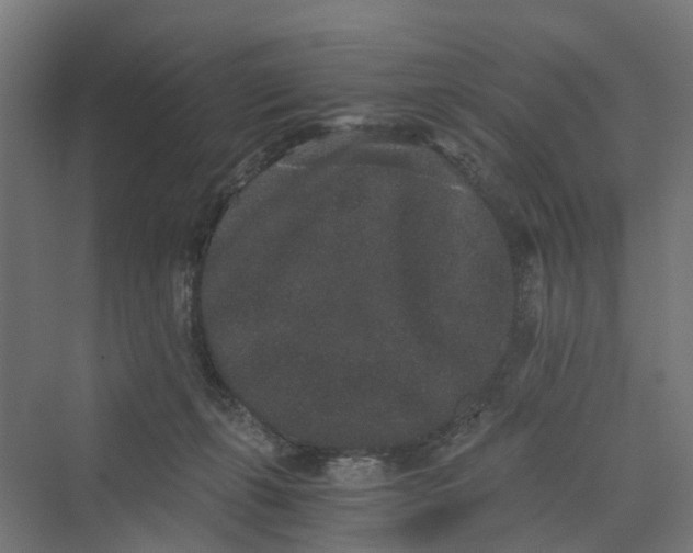 X0000069800271200606021447