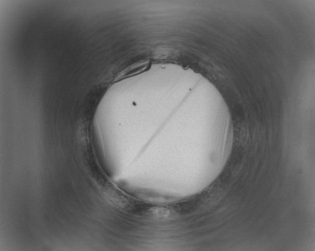 X0000069800272200606021447