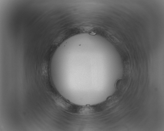 X0000069800274200606021447