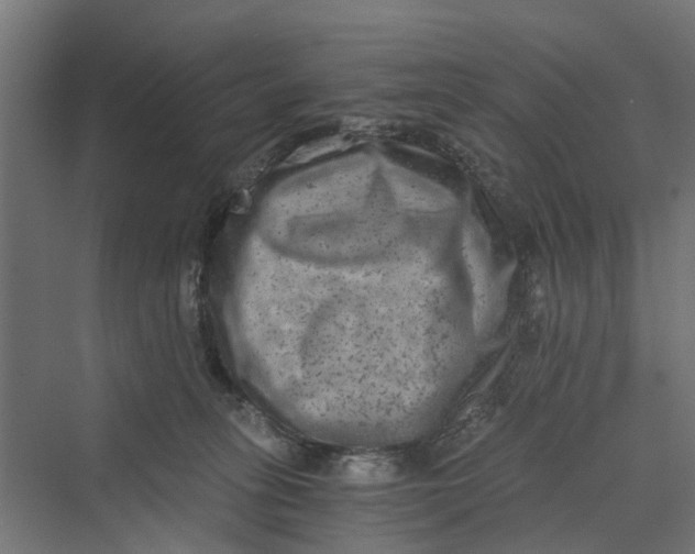 X0000069800275200606021447