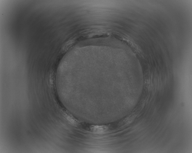 X0000069800277200606021447