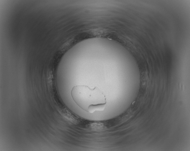 X0000069800279200606021447