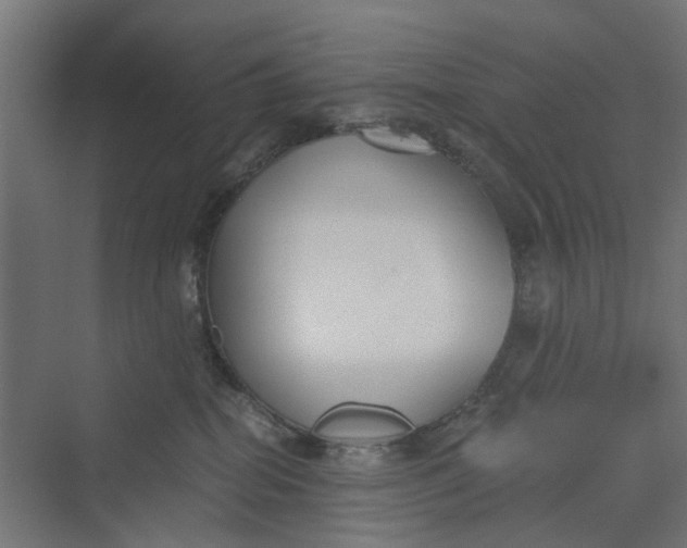 X0000069800282200606021447