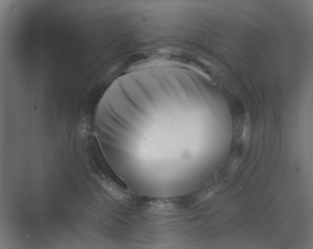 X0000069800284200606021447