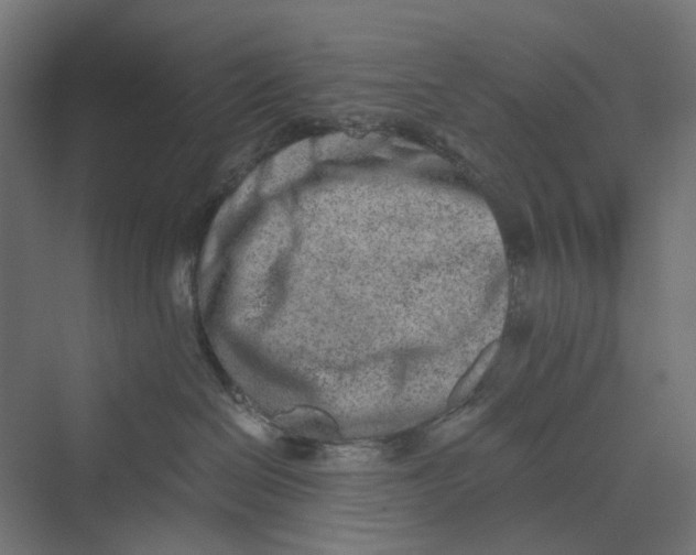 X0000069800286200606021447