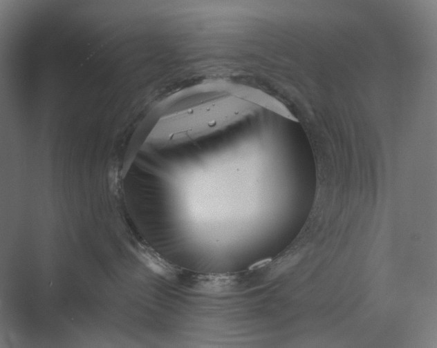 X0000069800288200606021447