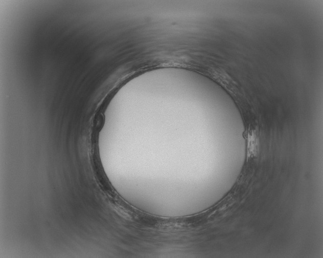 X0000069800291200606021446