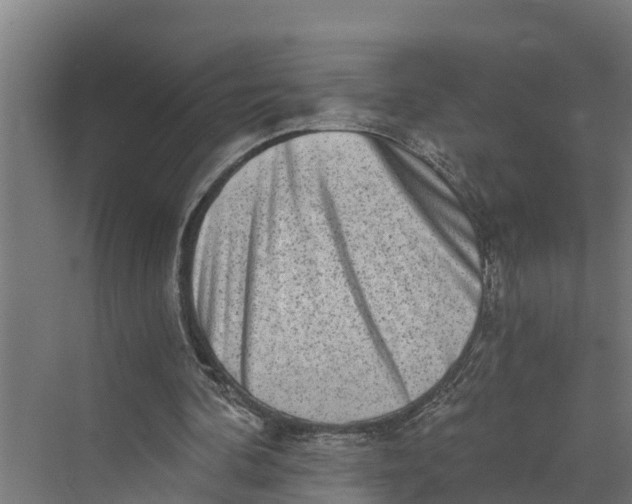 X0000069800292200606021446