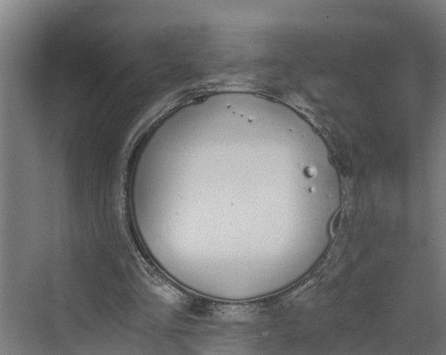 X0000069800293200606021446