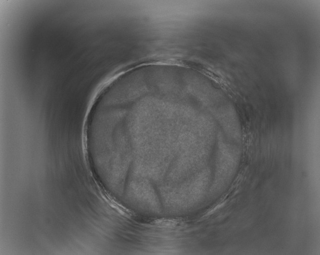 X0000069800294200606021446