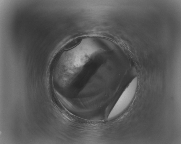 X0000069800295200606021446