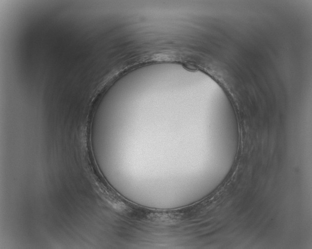 X0000069800297200606021446