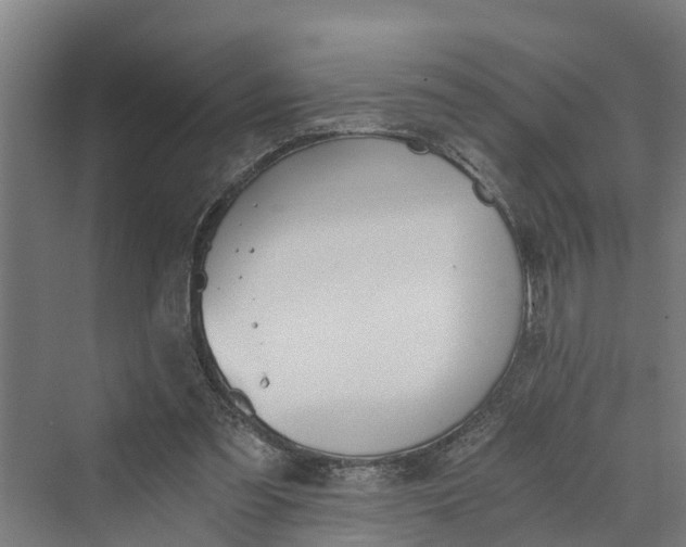 X0000069800301200606021446