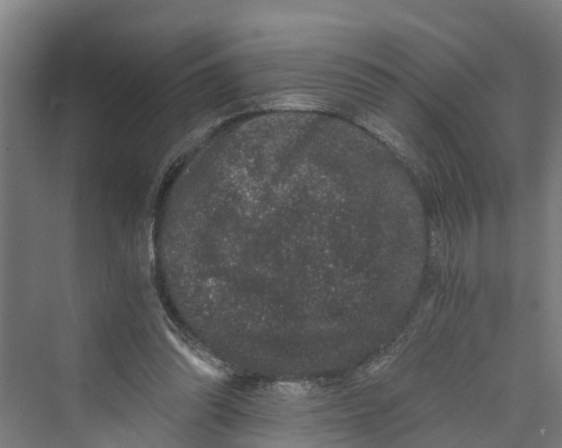 X0000069800302200606021446