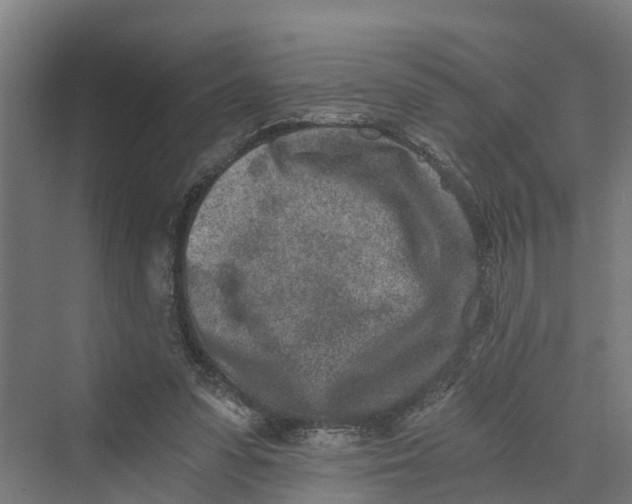 X0000069800303200606021446