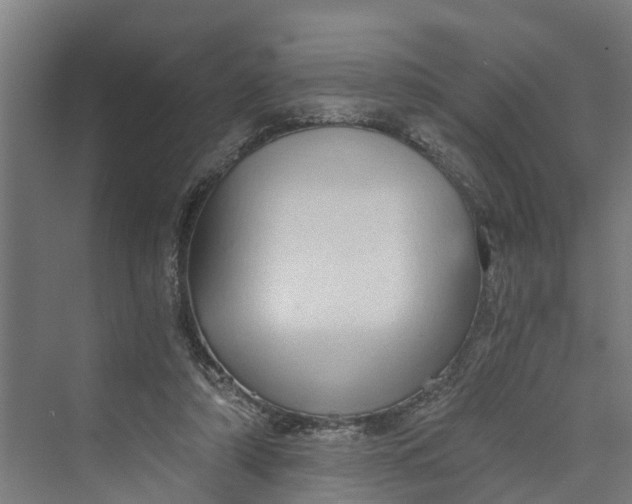 X0000069800306200606021446