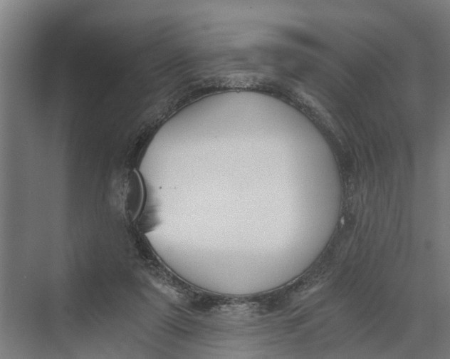 X0000069800307200606021446