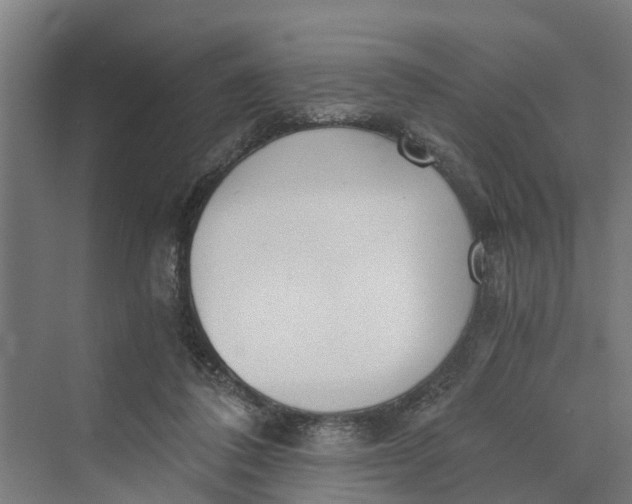 X0000069800308200606021446