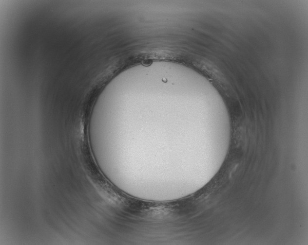 X0000069800310200606021446