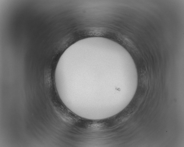 X0000069800312200606021446