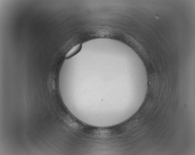 X0000069800313200606021446