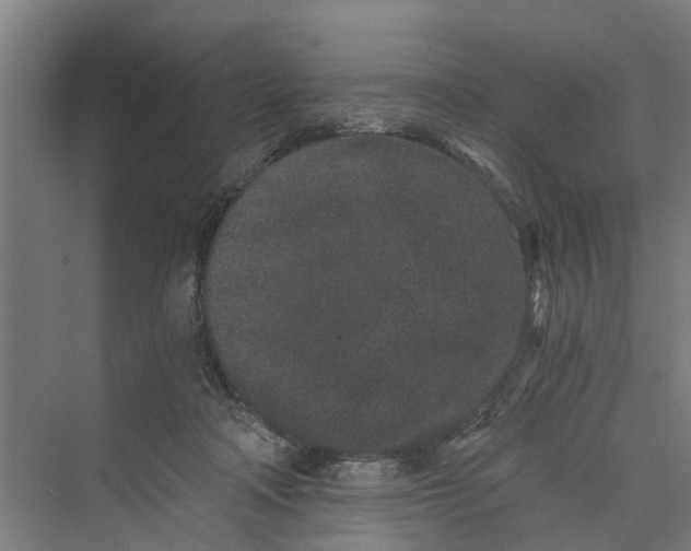 X0000069800314200606021446