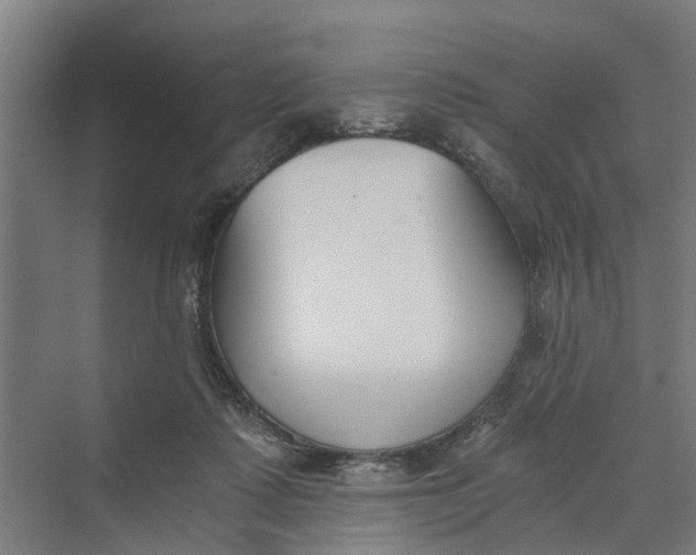 X0000069800315200606021446